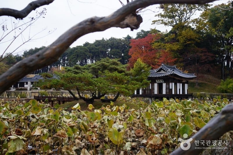 江陵船橋莊