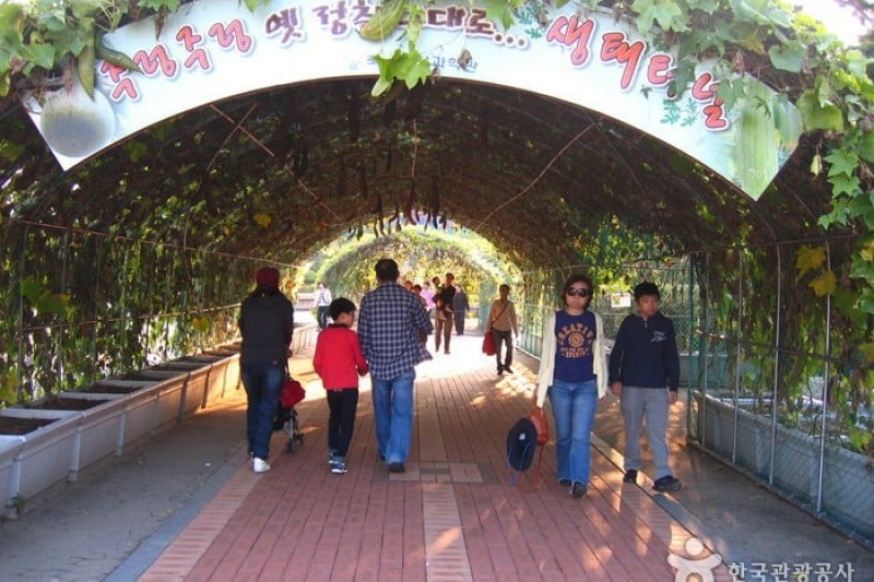 國立中央科學館 (27/44)