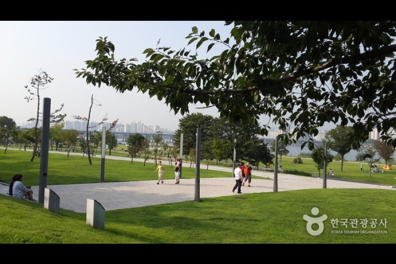 漢江市民公園汝矣島地區