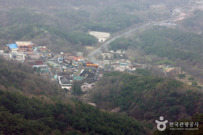 八公山自然公園 (1/5)