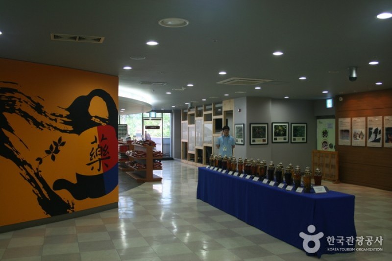 大邱藥令市韓醫藥博物館