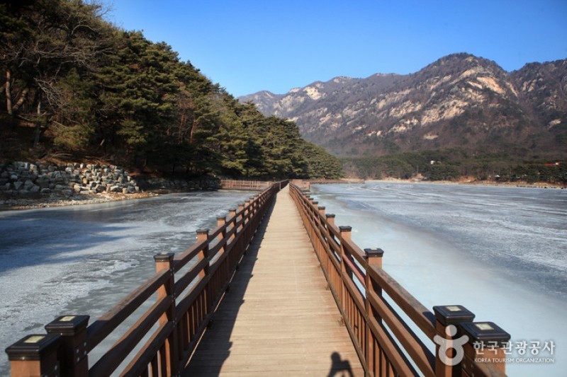 抱川山井湖