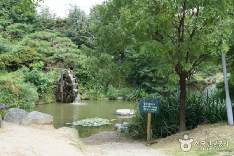 楊平野花樹木園 (19/20)