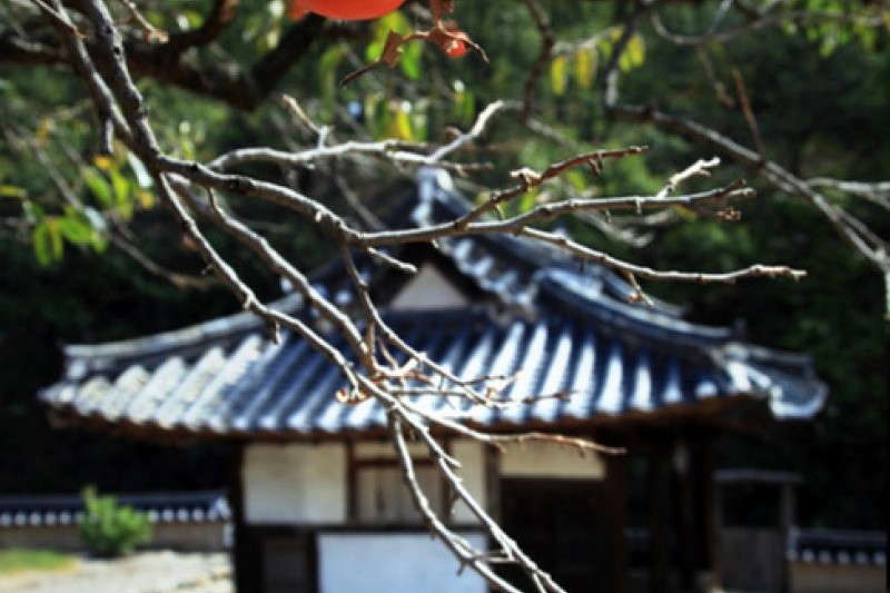 大邱漆谷村 (1/13)