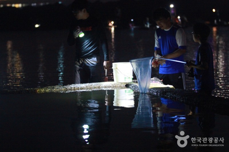 武昌浦神秘海路慶典