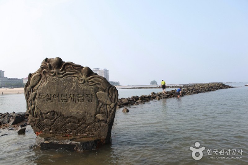 武昌浦神秘海路慶典