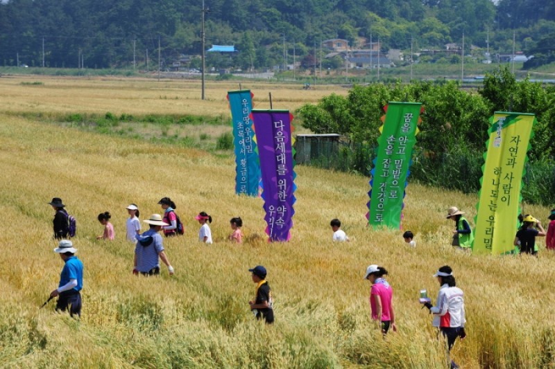 光山小麥節