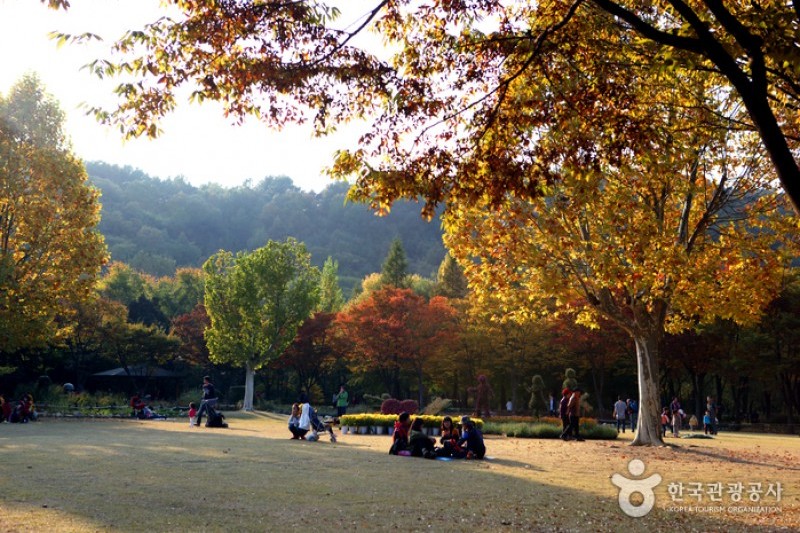 大邱樹木園
