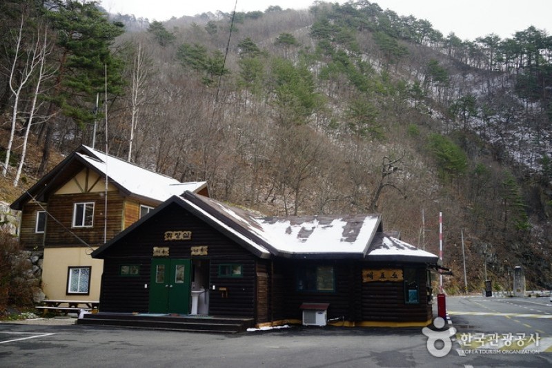 米川谷自然休養林 