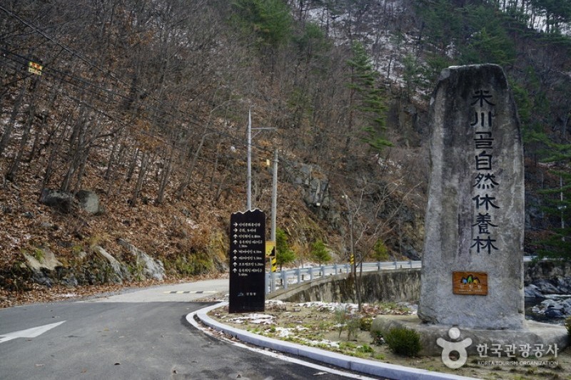 米川谷自然休養林 