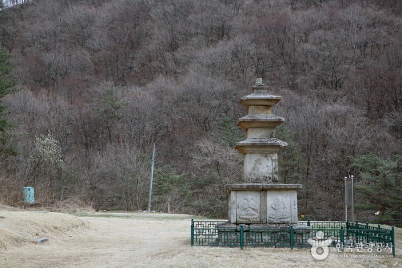 米川谷自然休養林 