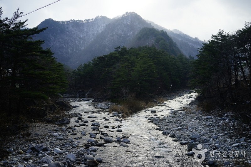 米川谷自然休養林 