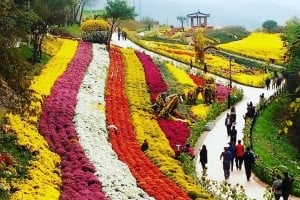 南山公園(首爾)