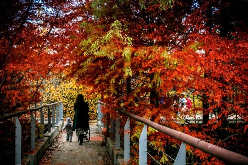 仙遊島公園