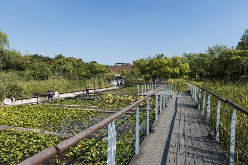 仙遊島公園