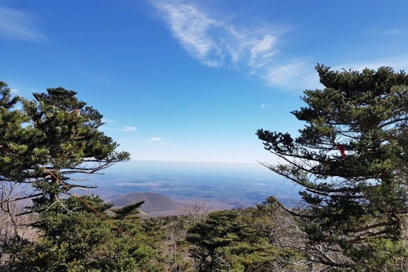 漢拿山國立公園[聯合國教科文組織世界自然遺產]