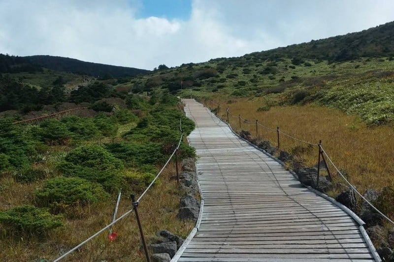 漢拿山國立公園[聯合國教科文組織世界自然遺產]