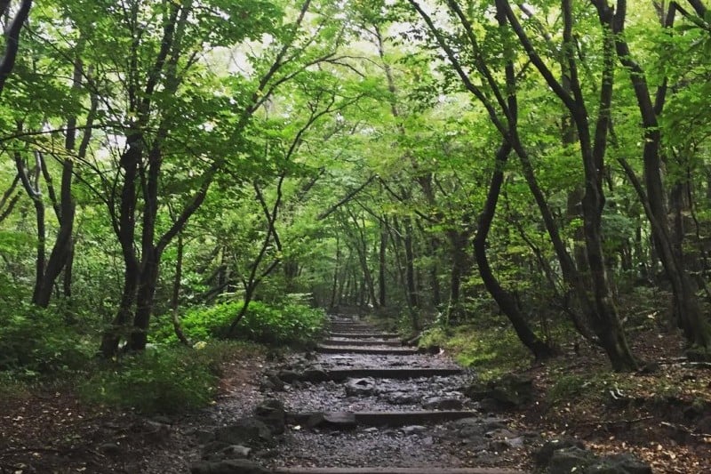 漢拿山國立公園[聯合國教科文組織世界自然遺產]