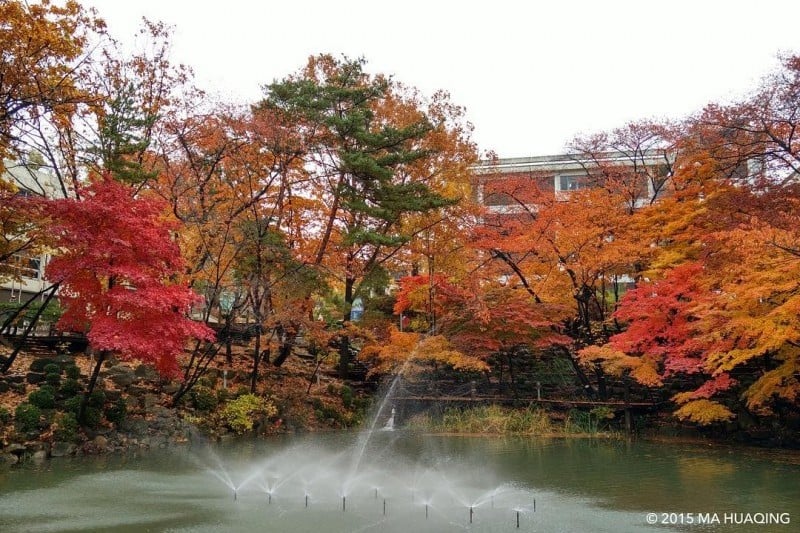 首爾大學[Seoul National University]
