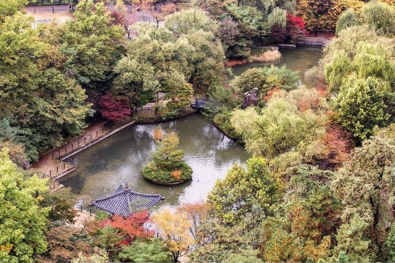 首爾大學[Seoul National University]