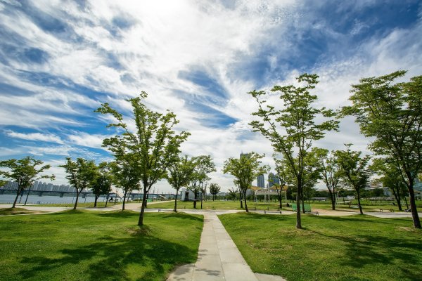 漢江市民公園汝矣島地區