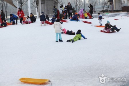 漢江公園纛島雪橇場