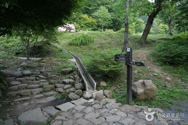 智異山國立公園