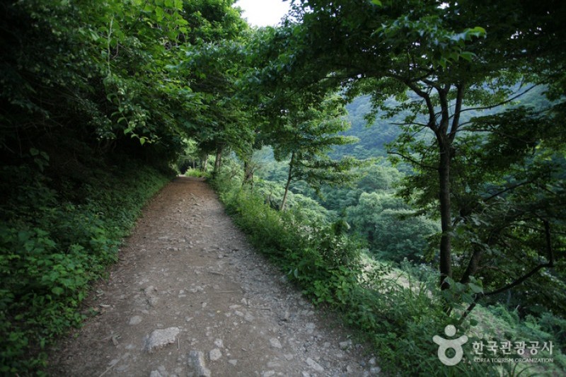 智異山國立公園