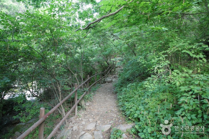 智異山國立公園