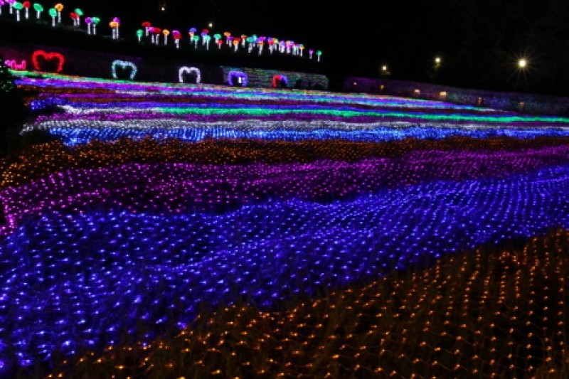 香草島樂園燈光童話節(허브아일랜드 불빛동화축제) (20/20)