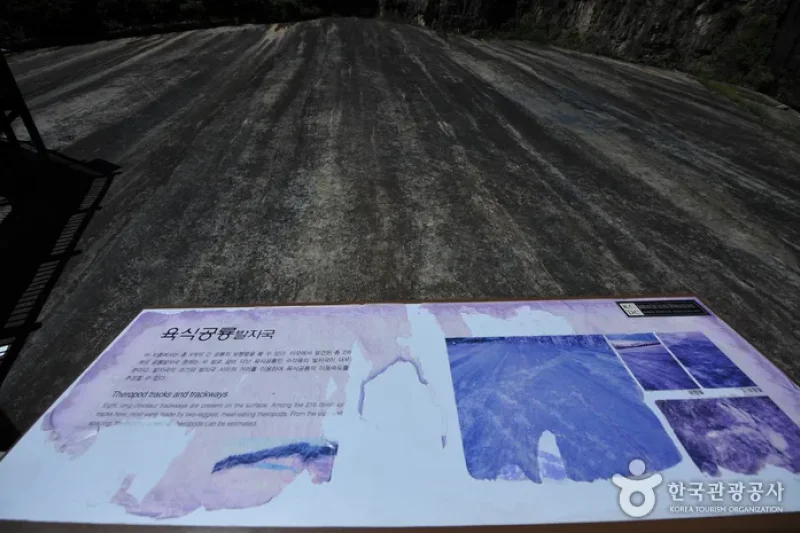 和順西酉里恐龍足跡化石產地 (4/5)