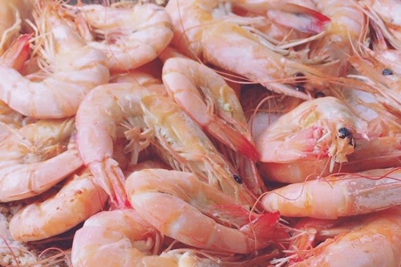 武昌浦神秘海路大蝦‧鰶魚節