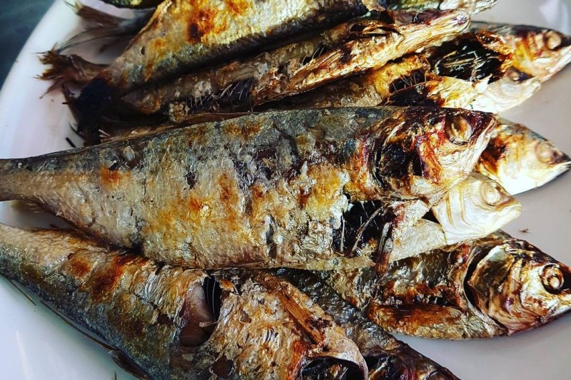 武昌浦神秘海路大蝦‧鰶魚節