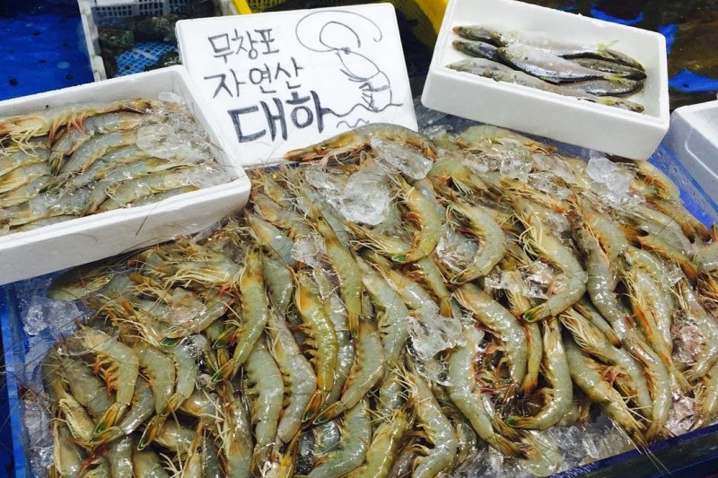 武昌浦神秘海路大蝦‧鰶魚節