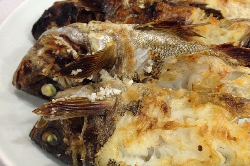 冬柏島生魚片店(동백섬횟집)