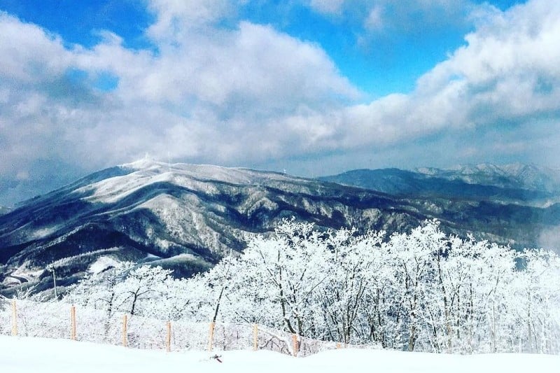 鳳凰城滑雪場 (16/21)