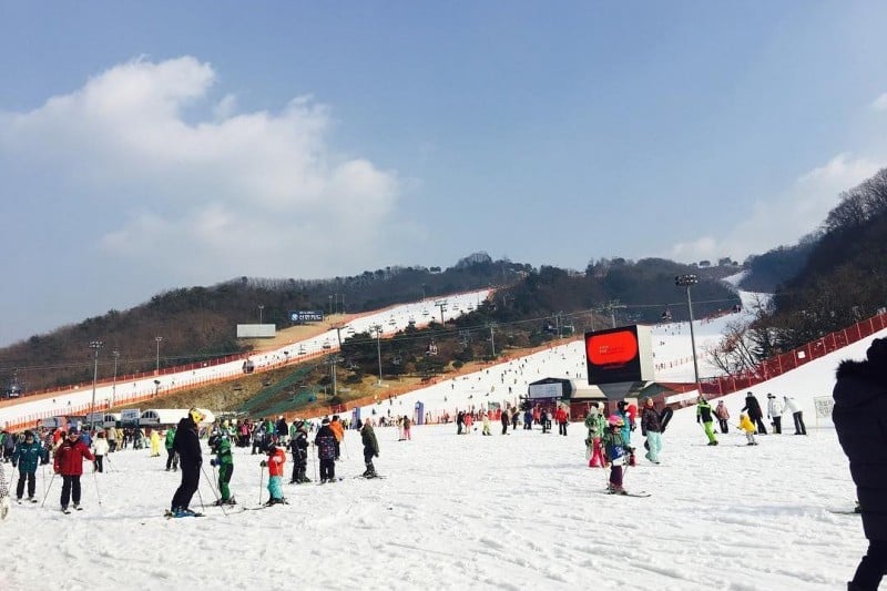 大明維瓦爾第公園滑雪世界 (15/20)