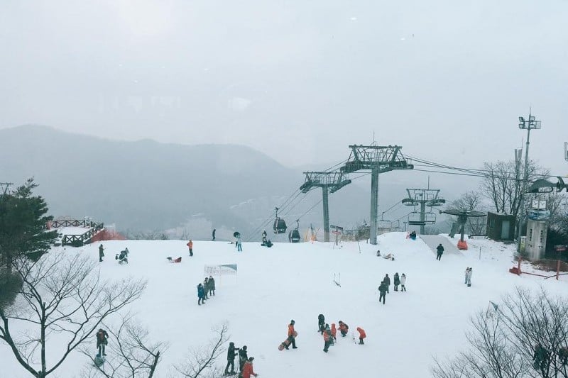 大明維瓦爾第公園滑雪世界 (18/20)