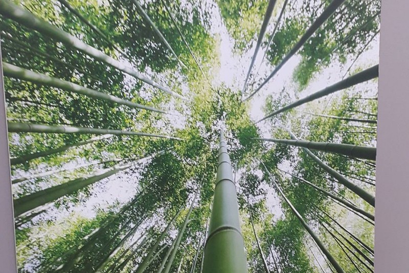韓國竹子博物館 (9/14)