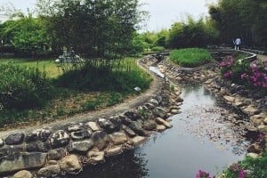 韓國竹子博物館