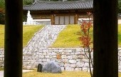 槐市里傳統村落 