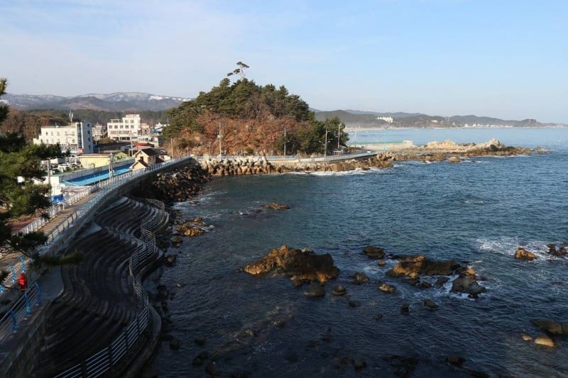 注文津南涯港