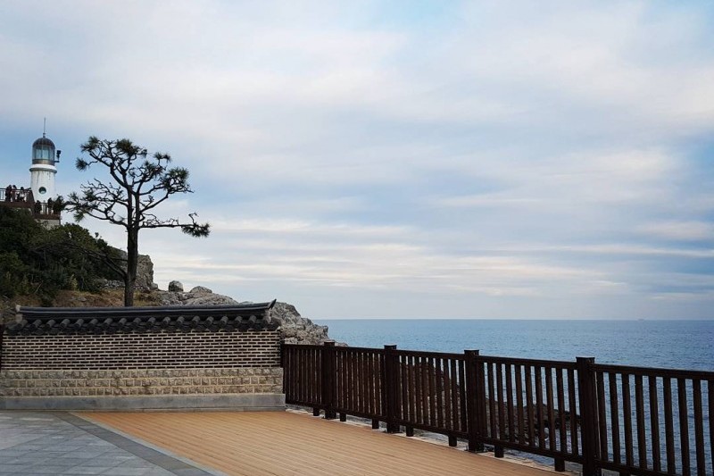 海雲臺冬柏島 (20/24)