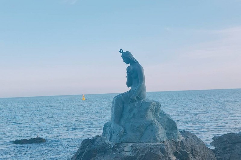 海雲臺冬柏島 (23/24)