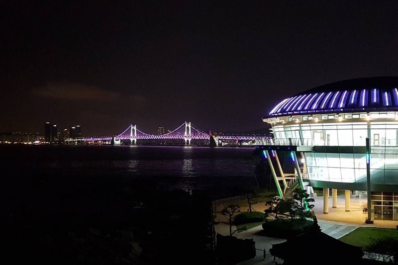 海雲臺冬柏島 (24/24)