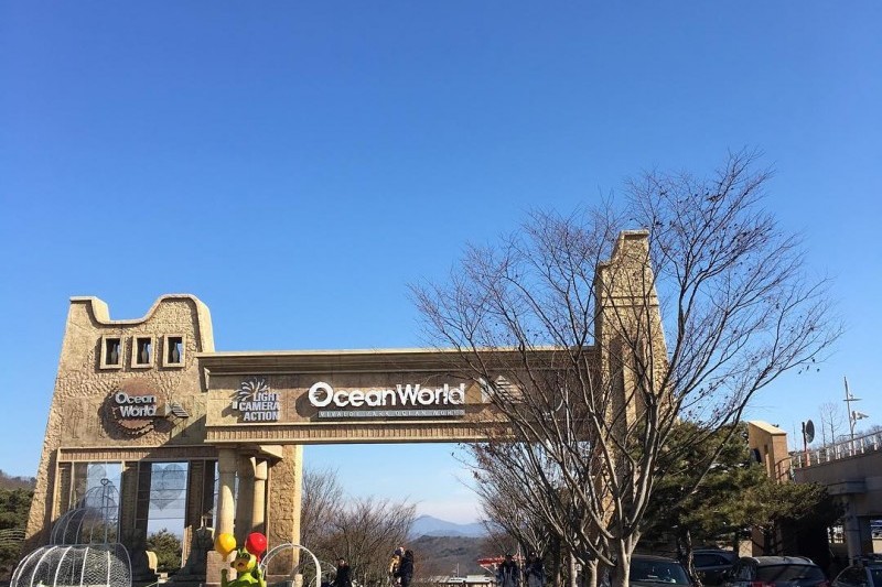 維瓦爾第公園海洋世界 (4/12)
