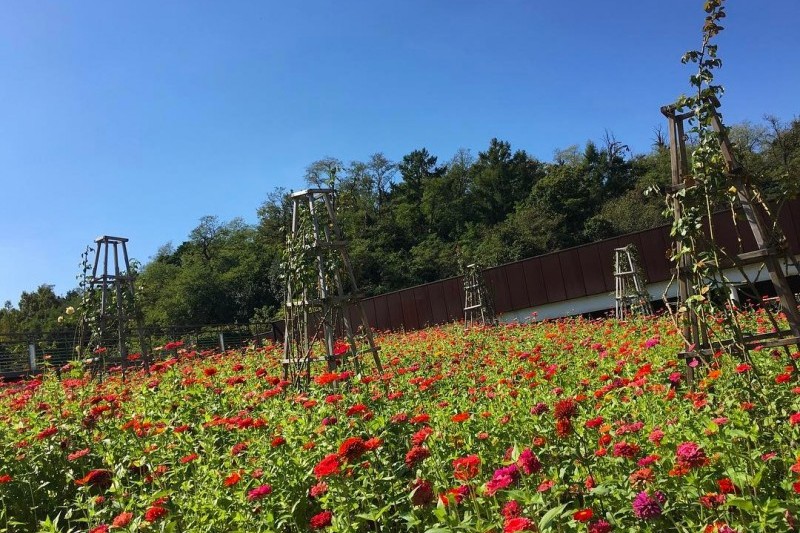 西首爾湖水公園