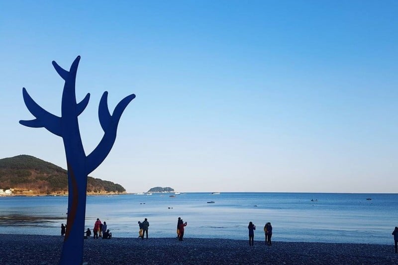 竹岩黑鵝卵石海水浴場 (5/7)