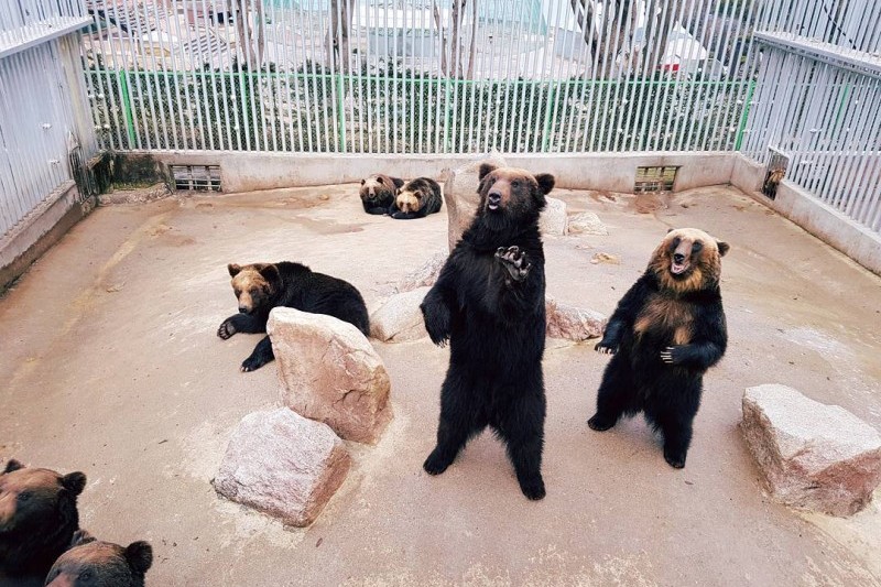 Beartree公園