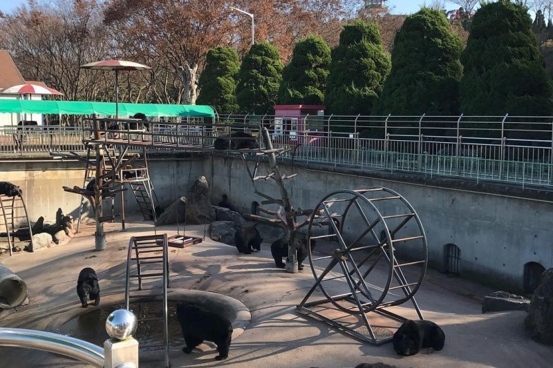 Beartree公園